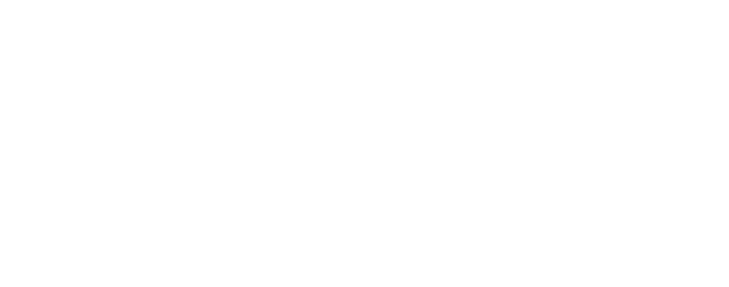 Premier Financial Search